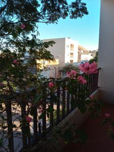 乌鲁瓜亚纳Hotel Monte Carlo的大楼前阳台的粉红色玫瑰