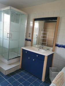 马西MASSY VILMORIN Appartement indépendant 3 pieces的一间带水槽和玻璃淋浴的浴室