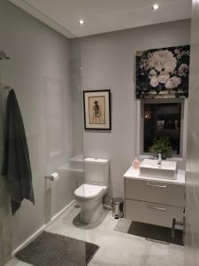 斯泰伦博斯Oak Village的一间带卫生间、水槽和镜子的浴室