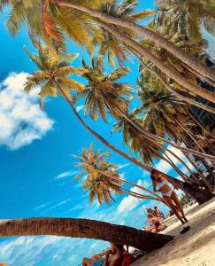 马富施Paradise Retreat, Maafushi的相册照片