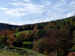 穆巴赫索蒙斯特Au chalet de JO的享有山丘树木和草地的景色