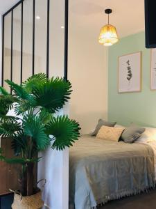 洛里昂Grand Studio avec terrasse proche de l'hypercentre de Lorient的一间卧室配有一张床和盆栽植物