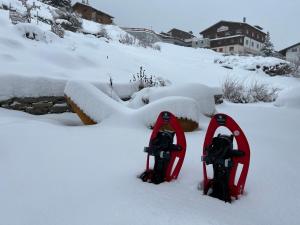 格雷兴Sera Lodge的雪上一双滑雪板