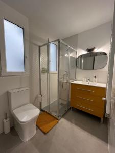 阿尔巴塞特MGG - Apartamento Muelle的带淋浴、卫生间和盥洗盆的浴室