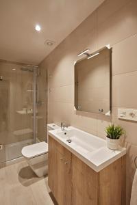 洛格罗尼奥Apartamentos Abastos的一间带水槽、卫生间和镜子的浴室