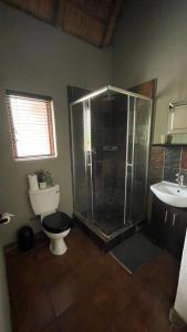 侯斯普瑞特Ujabule Lodge的带淋浴、卫生间和盥洗盆的浴室