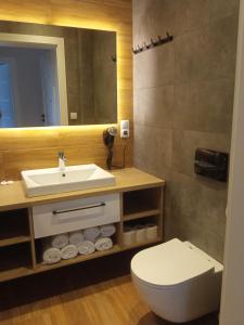 图拉瓦Apartamenty Woda i Las的一间带水槽、卫生间和镜子的浴室