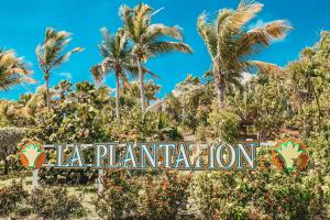 东方湾人工林酒店的棕榈树前的种草标志