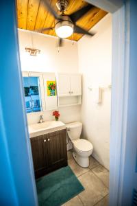 EnighedPapaya Suite at Sunset Serenade的一间带卫生间和水槽的浴室