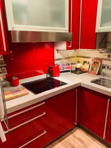 塞维利亚Casa Pepita Gutiérrez的厨房配有红色橱柜和炉灶烤箱