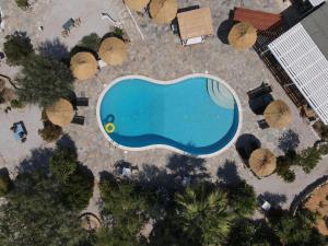 帕罗奇亚Onira的享有树木游泳池的顶部景致