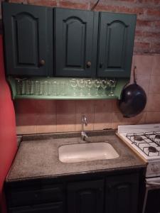 别德马El jardín de los presentes的厨房配有绿色橱柜、水槽和炉灶。