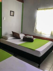 RizaraldaRoom in Guest room - Room with 2 double beds number 14的绿色和白色的房间里一张床位