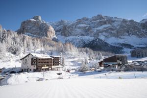 塞尔瓦迪加尔代纳山谷Hotel Plan De Gralba - Feel the Dolomites的山旁的雪地建筑