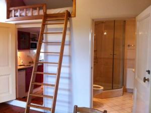 Spankeren霍夫斯泰德格鲁特拉尔住宿加早餐旅馆的浴室设有通往双层床的梯子