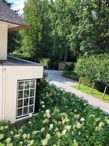 SchildeSchilde Cottage的玫瑰园,在房子前面