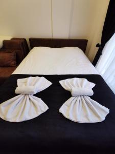科帕奥尼克Kopaonik apartmani NR的床上有2个枕头