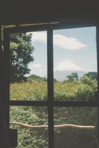 BalgueLa Bambouseraie的透过窗户欣赏鲜花田野的景色