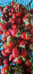 阿尔巴卡希纳花园酒店的盘子里堆草莓