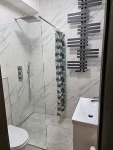 库特诺Noclegi 24/h Leszczynek的带淋浴、卫生间和盥洗盆的浴室