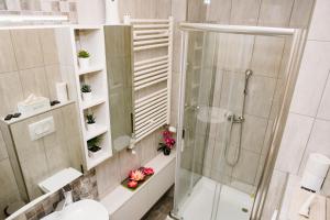 苏博蒂察Lusso Apartman的带淋浴和卫生间的浴室