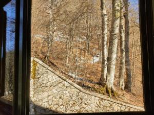 泰尔米尼洛La cantoniera dei 18的享有树林景致的窗户。