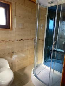 RaucoCasa Tauco的一间带卫生间和玻璃淋浴间的浴室