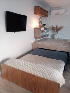 赫雷斯-德拉弗龙特拉Estudio jacuzzi Luz de Jerez的一间卧室配有一张床和一台平面电视