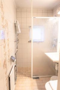 孔艾尔夫Hotel Fars Hatt by Dialog Hotels的带淋浴、卫生间和盥洗盆的浴室