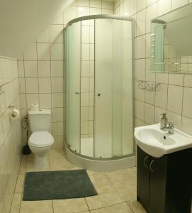 文克尼察Zajazd Park的带淋浴、卫生间和盥洗盆的浴室