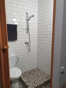 阿利图斯Sveciu Namai Giles的一间带卫生间和淋浴的浴室