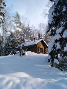 LumivaaraБаза отдыха Берлога的雪地里的小木屋,有雪覆盖的树木