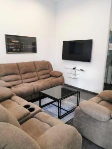 林茨FEWO am Neuen Dom的客厅配有2张沙发和1台平面电视
