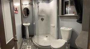 沃特伯里Grunberg Haus Inn & Cabins的一间带卫生间和淋浴的小浴室