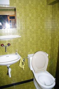 Valendas布伦度假屋的一间带卫生间和水槽的浴室