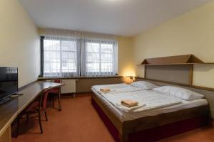 扎布热赫阿莫挫酒店的卧室配有一张床、一张书桌和窗户。