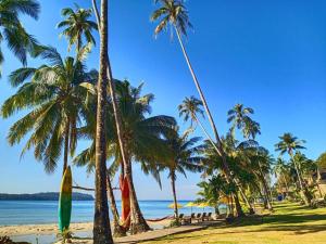 库德岛Tolani Resort Koh Kood的棕榈树海滩和海洋