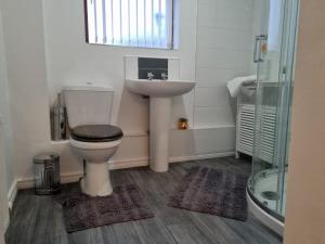 伦敦德里The Townhouse, Derry City Centre.的一间带卫生间和水槽的浴室