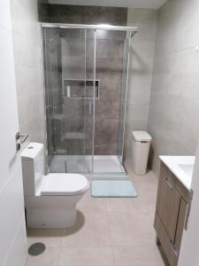 CalhetasRefúgio do Norte的带淋浴、卫生间和盥洗盆的浴室