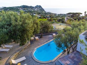 伊斯基亚Villa Pietra Verde的享有树木和大海的游泳池的顶部景致