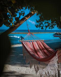 拉斯杜Summer Vibes Beach Front的吊床挂在大海前的树上