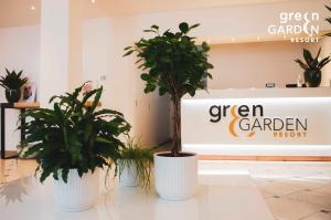 梅斯特GREEN GARDEN Resort - Smart Hotel的两个盆栽植物坐在商店前