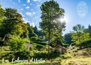 拉萨尔韦塔Les Cabanes d'Hestia的享有农场的景色,阳光照耀着树木