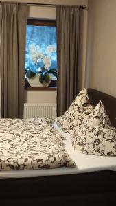 奥什恰德尼察马格斯公寓旅馆的一张带毯子的床和一个美景窗户