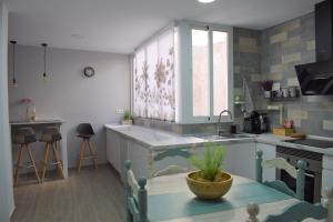 埃尔切Apartamento Ladevesa的厨房配有水槽和植物桌子