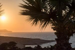 Agia Irini Milos加里尼酒店的日落时在海洋前的棕榈树