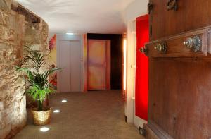 巴塞罗那爱恩B毕加索科尔戴尔公寓式酒店的走廊上,在房间里放着盆栽植物