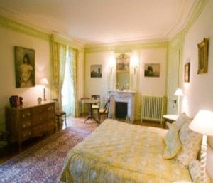 阿朗松萨尔索城堡酒店的一间大卧室,配有一张床和一个壁炉