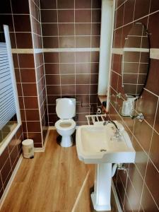 达默维尔霍夫酒店的一间带卫生间、水槽和镜子的浴室