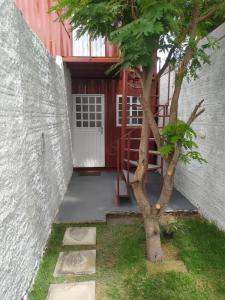 博阿维斯塔Container LB PONU的楼前一棵树,有门